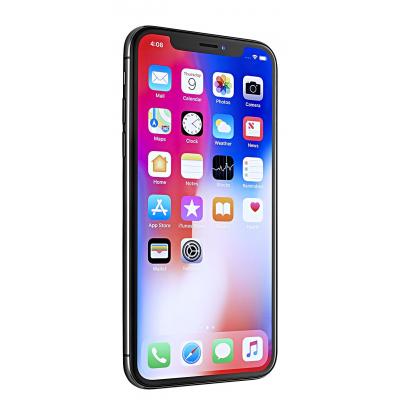 iPhoneX 1